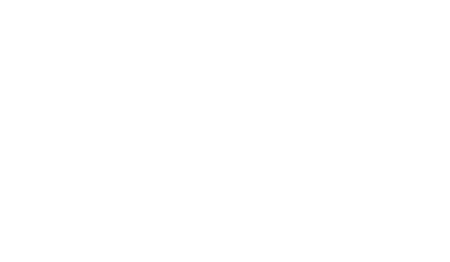 Sky Pro Logo Footer