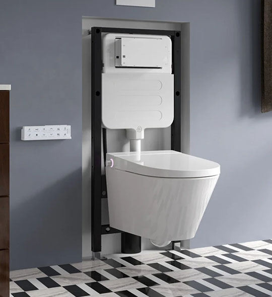 Toilet Seat Replacement