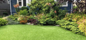 beautiful green Yard