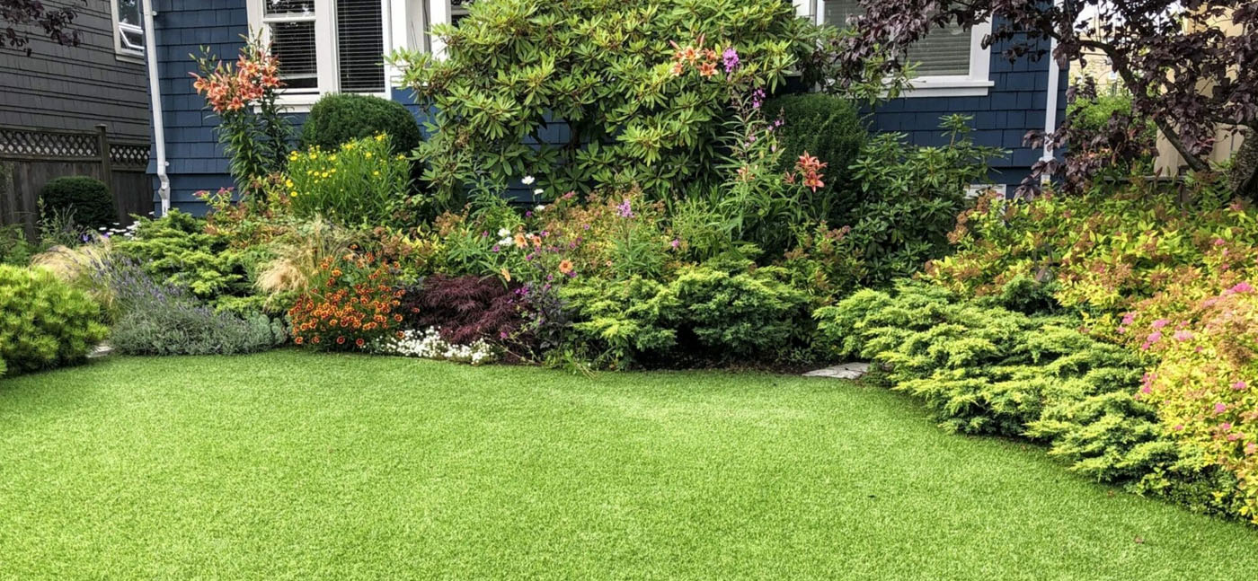 beautiful green Yard