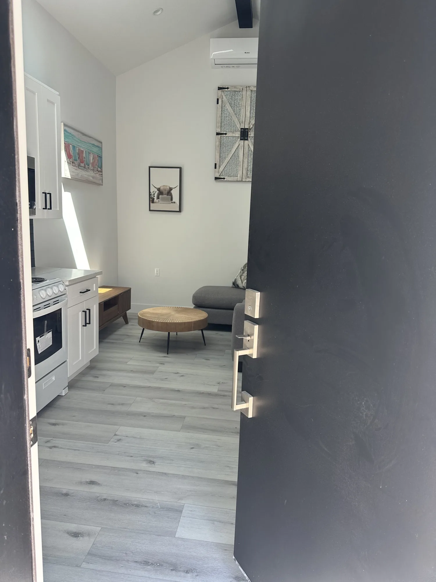 View through the open dark entry door into a studio unit with kitchenette and plank flooring.