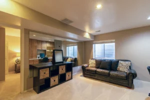 Finished basement living space