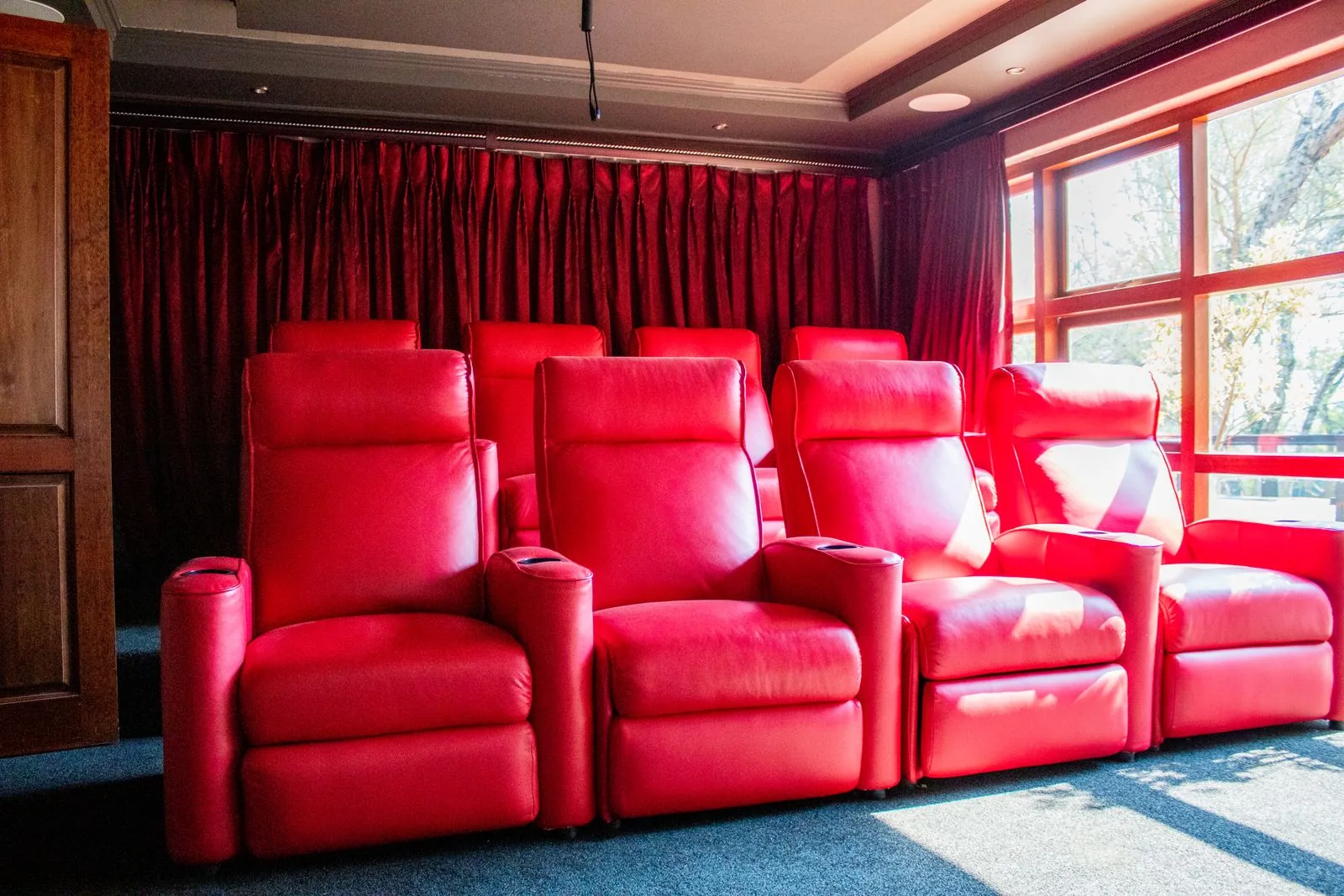 Home theater and media room