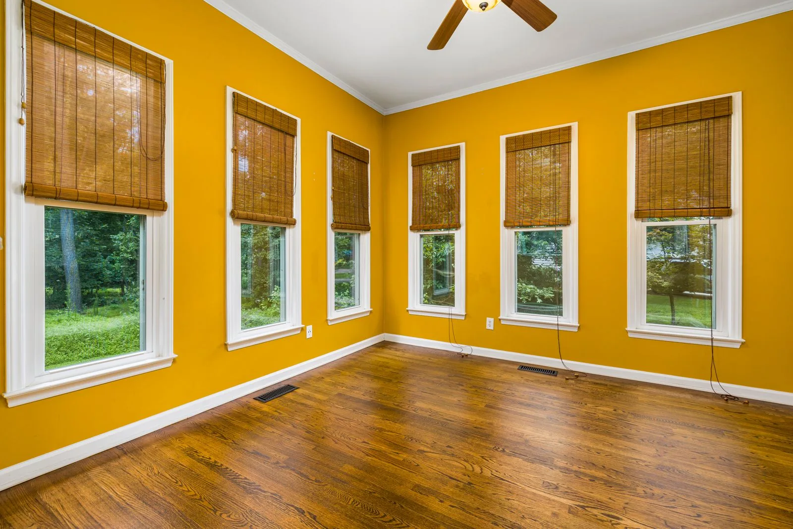 Bright sunlit room addition by a Bellevue-area remodeler
