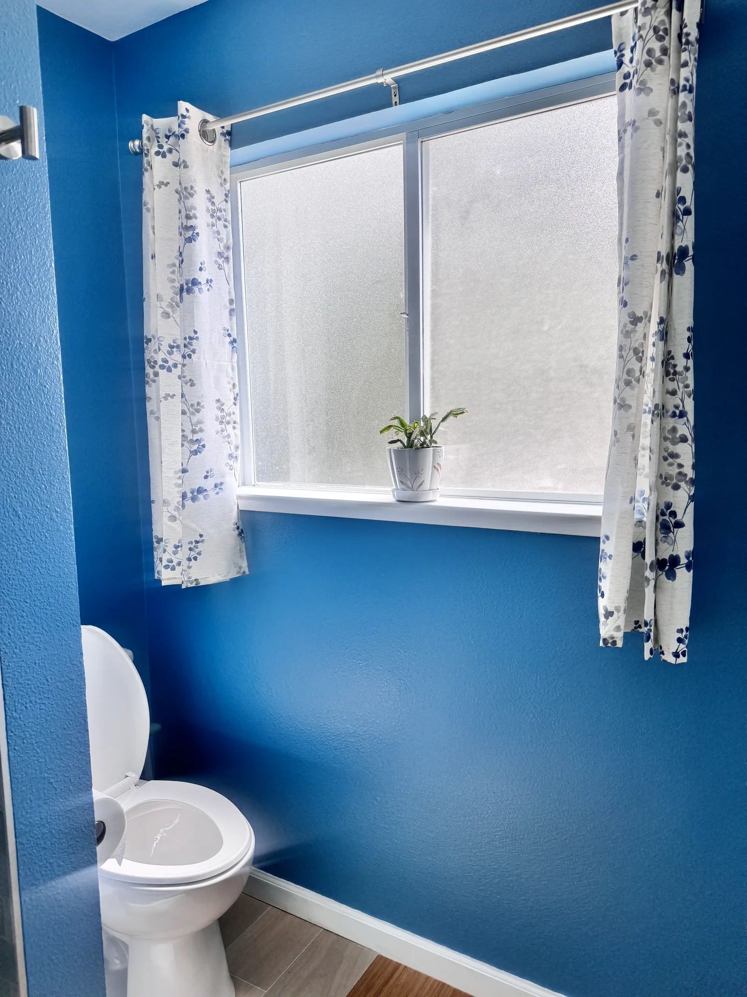 Toilet in a deep blue alcove below a privacy glass window with floral curtains and a small plant.
